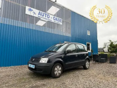 Gebraucht Fiat Panda Active 54 PS (39 kW) 2009 Blau Kleinwagen