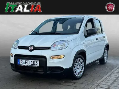 Gebraucht Fiat Panda 70 PS (51 kW) 2024 Weiß Kleinwagen