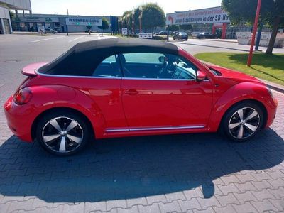 VW Beetle