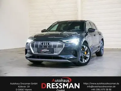 Usata Audi e-tron Advanced 230 kW (313 CV) 2020 Grigio SUV