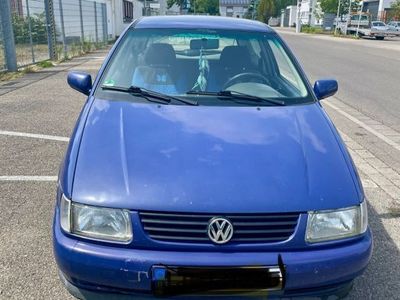VW Polo