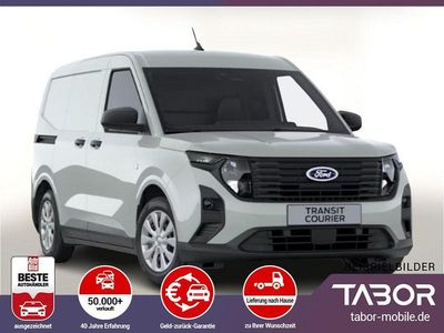 Grau Neu 2025 Ford Transit Trend Van | 22.488 € (Guter Preis)