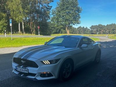 gebraucht Ford Mustang 2.3 eco boost