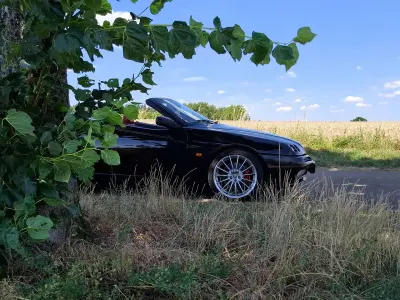 Gebraucht Alfa Romeo Spider
