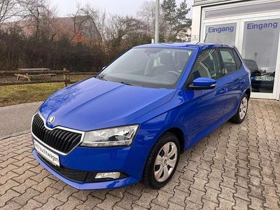 Gebraucht Skoda Fabia Active 75 PS (55 kW) 2019 Energyblau Kleinwagen
