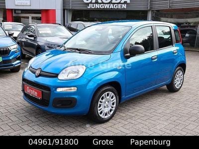 Blau Neu 2025 Fiat Panda Kleinwagen | 15.290 € (Fairer Preis)