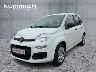 Nuova Fiat Panda Icon 69 CV (50 kW) 2026 Utilitaria