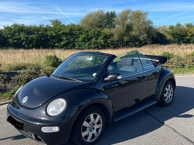 VW Beetle