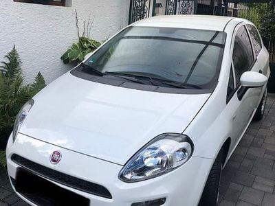 Gebraucht Fiat Punto Evo 69 PS (50 kW) 2015 Weiß Kleinwagen