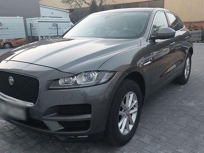 Gebraucht Jaguar F-Pace Pure 179 PS (131 kW) 2016 Grau SUV