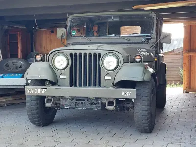 Usata Jeep Wrangler 105 CV (77 kW) 1989 SUV