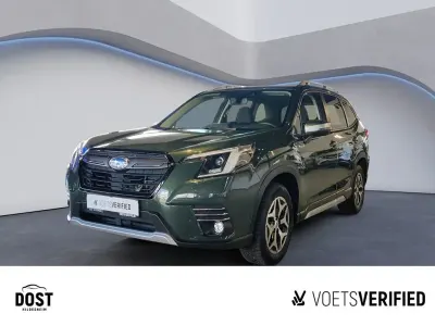Gebraucht Subaru Forester Comfort 150 PS (110 kW) 2024 Grün SUV