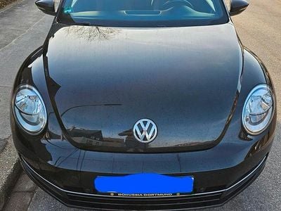 VW Beetle