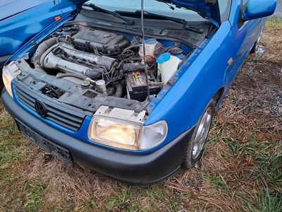 Blau Gebraucht 1999 VW Polo Conceptline Kleinwagen | 700 € (Fairer Preis)