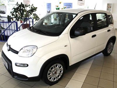 gebraucht Fiat Panda Hybrid 1,0 GSE / Klima, Servo, Radio, FH, ZV