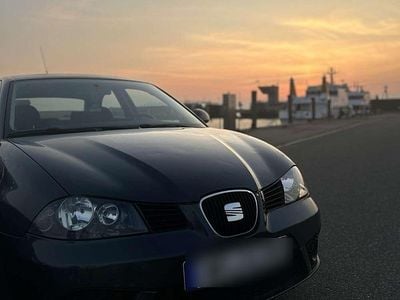 Grau Gebraucht 2007 Seat Ibiza Kleinwagen | 2.400 € (Fairer Preis)