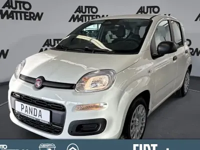 Gebraucht Fiat Panda Cross Cross 70 PS (51 kW) 2026 Weiß Kleinwagen