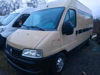 Gebraucht 2004 Fiat Ducato Van | 11.900 €
