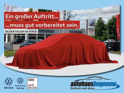 Usata VW T-Roc Style 150 CV (110 kW) 2023 Grigio SUV