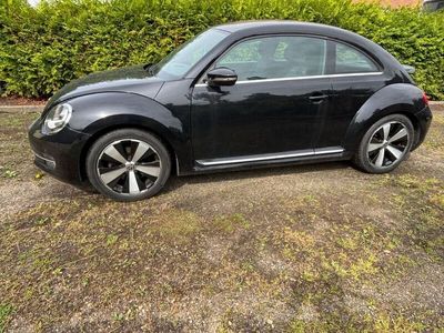 VW Beetle