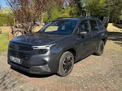 Occasion Subaru Forester Exclusive+ 136 ch (100 kW) 2026 Gris SUV
