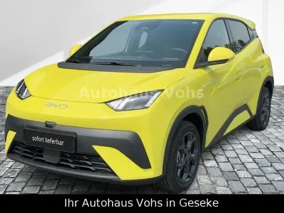 Gebraucht BYD Dolphin Surf