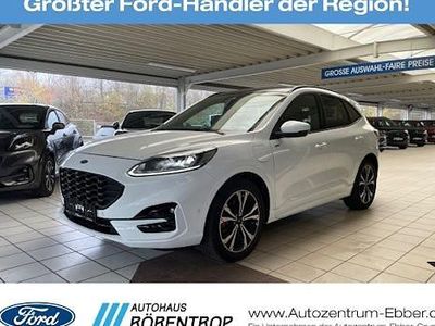 Gebraucht Ford Kuga ST-Line X 224 PS (164 kW) 2020 Weiß SUV