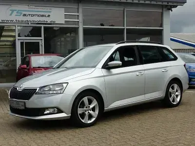 Gebraucht Skoda Fabia Active 95 PS (69 kW) 2021 Silber Kleinwagen