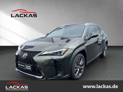 Lexus UX 300h