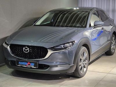 Gebraucht Mazda CX-30 Selection 186 PS (136 kW) 2023 Grau SUV