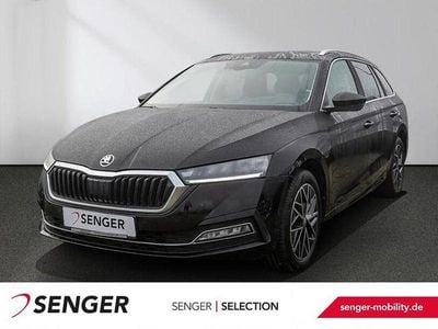 Gebraucht Skoda Octavia Style 204 PS (150 kW) 2023 Andere Kombi