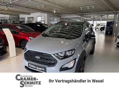 Second-hand Ford Ecosport Active 125 CP (91 kW) 2021 Gri SUV