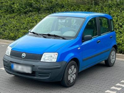 gebraucht Fiat Panda 1.2 TÜV / AU NEU Osterangebot!