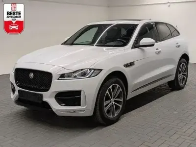 Gebraucht Jaguar F-Pace R-Sport 300 PS (220 kW) 2019 Weiß (yulong white) SUV