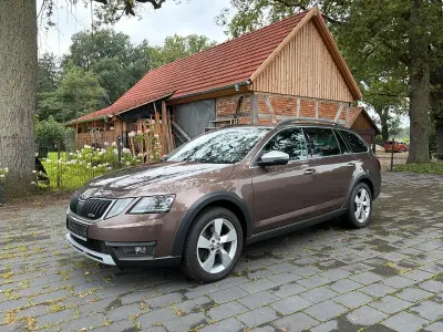 Gebraucht Skoda Octavia Scout Scout 4x4 179 PS (131 kW) 2018 Braun Kombi