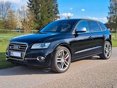 Usata Audi SQ5 Ambiente 313 CV (230 kW) 2014 Nero SUV