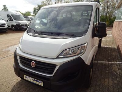 gebraucht Fiat Ducato ProfessionalPritschenwagen mit Einzelkabine 3