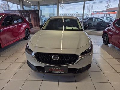 Neu Mazda CX-30 Homura-Line 140 PS (102 kW) 2025 Weiß SUV