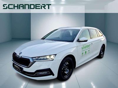 Candyweiß Gebraucht 2024 Skoda Octavia Style Kombi | 31.440 € (Fairer Preis)