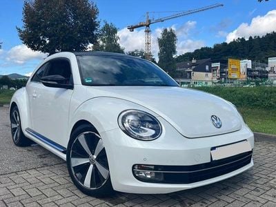 VW Beetle