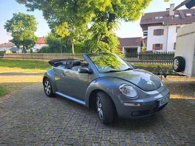 VW Beetle