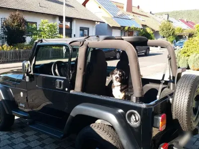 Gebraucht Jeep Wrangler