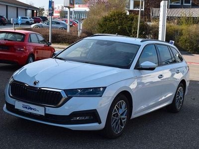 Gebraucht Skoda Octavia Ambition 150 PS (110 kW) 2023 Moonweiss metallic Kombi