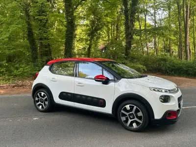 Usata Citroën C3