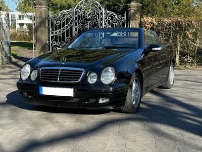 Mercedes CLK230