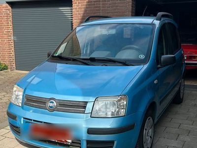 gebraucht Fiat Panda 1.2 Dynamic