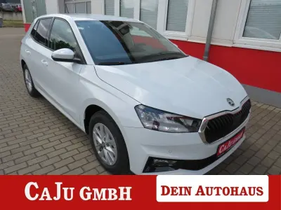 Brugt Skoda Fabia