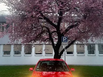 Gebraucht VW Polo United 80 PS (58 kW) 2008 Rot Kleinwagen