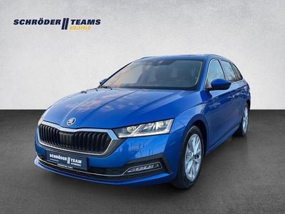 Gebraucht Skoda Octavia Style 150 PS (110 kW) 2023 Blau Limousine
