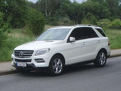 Gebraucht Mercedes ML350 258 PS (189 kW) 2013 Weiß SUV